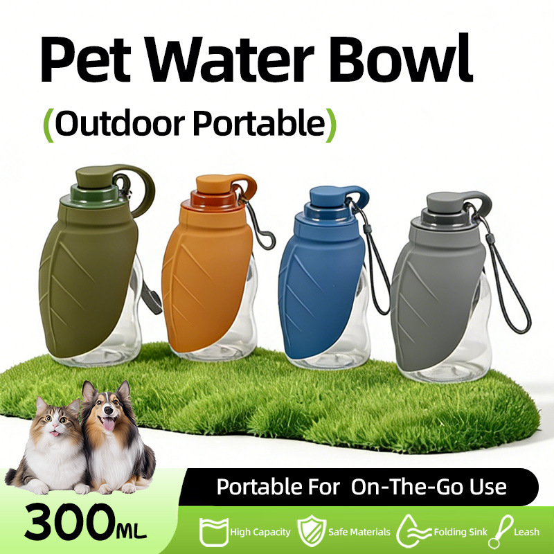 Tragbare Sport-Trinkflasche fü – Outdoor Sport Glass Water Bottle Bewertung und Preis